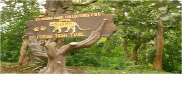 Best 7 Days 6 Nights Cochin, Munnar, Thekkady with Alleppey Tour ...