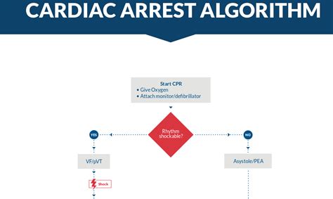 What Is A Shockable Rhythm In Cardiac Arrest at Felix Lesperance blog