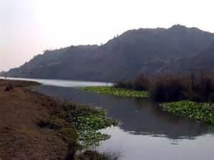 Water body pollution: NGT asks Punjab to file district-wise data