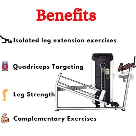 Best Standing Leg Extension TNT-016A – EnergieFitness