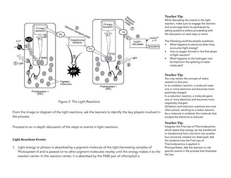 General Biology 1.pdf
