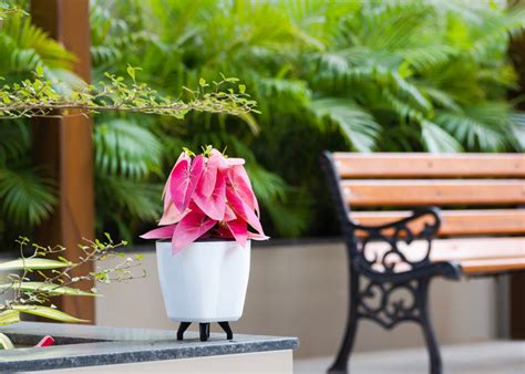 RK EMPIRE – Trusted Brand For Kitchen Containers, Bottles & Lunch