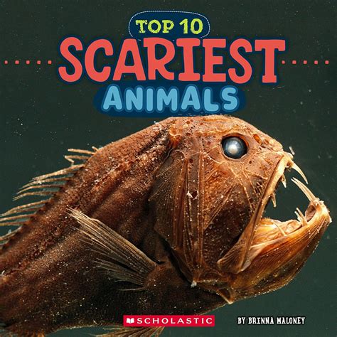 Scariest Animals (Wild World: Top 10): Maloney, Brenna: 9781546136095 ...