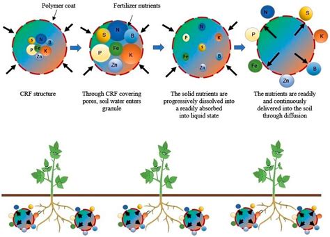Nanofertilizers: Types, Delivery and Advantages in Agricultural Sustainability