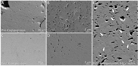 Mechanical Properties of Microporous Copper Powder Compacts Produced by ...