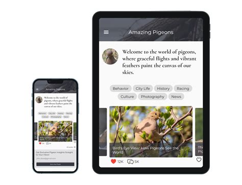 Image result for Media Query Dimensions