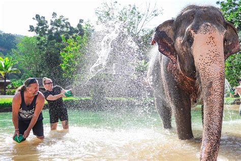 Phuket Elephant Sanctuary - Half Day Visit | Khanom Travel