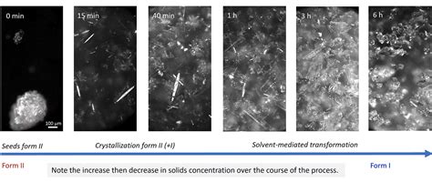 BlazeMetrics – Lab Process Analytical Technology: Büchiglas
