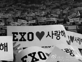 Open EX0 File 的图像结果