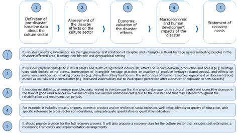 Image result for Formulation Development pDNA