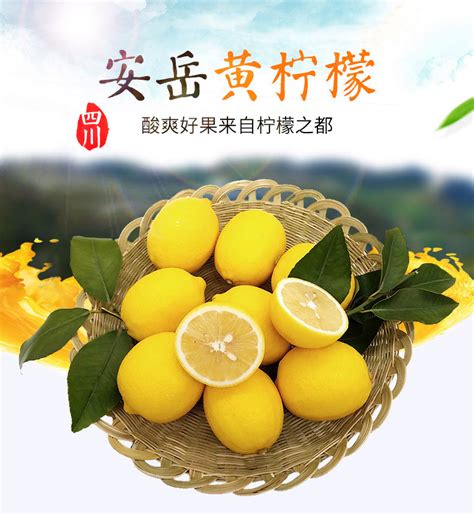 四川安岳柠檬 新鲜一级果新鲜黄柠檬尤力克柠檬批发5斤起中大可选-阿里巴巴