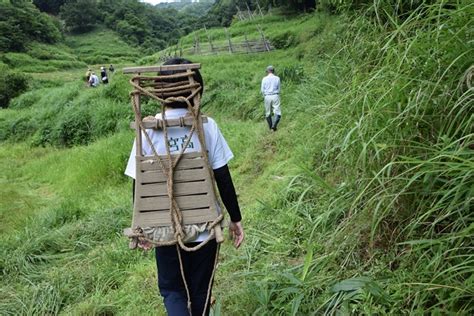 宮津高校フィールド探究部 頑張ってます(^^)/ ぶら丹後 花鳥風月