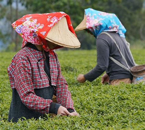 Best Tour Operator in Siliguri - Be An Explore