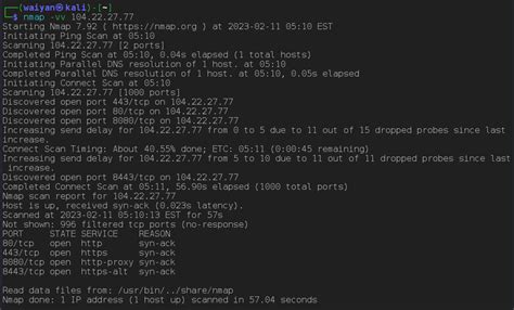 Image result for Nmap Input File