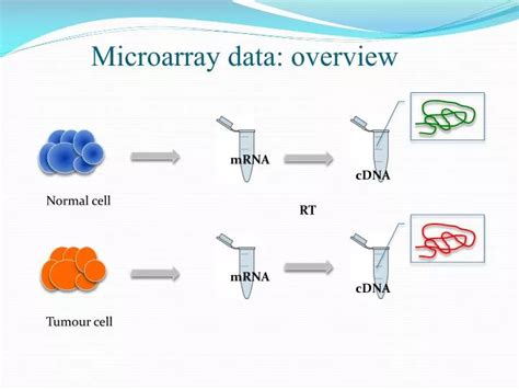 Microarray Data 的图像结果
