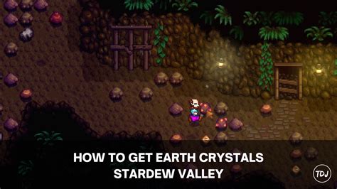 Stardew Valley - How to Get Earth Crystal - The Daily Juice