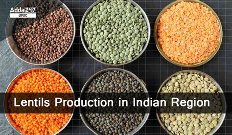 lentils Production in Indian Region, Cultivation and Productions