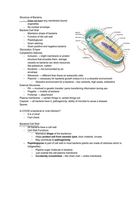 Image result for Microbiology Study Guide