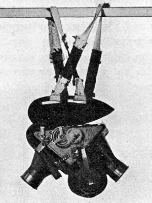Pigeon photography: Trained birds were used experimentally before and ...