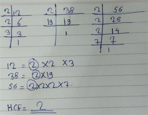 by using division method find HCF of 12 38 and 56 - Brainly.in
