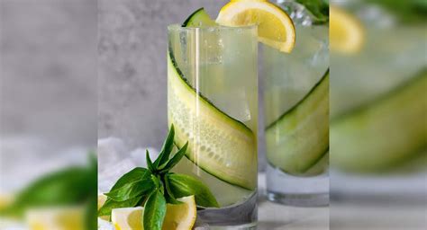 Cucumber, Basil, and Gin Splash Recipe: How to Make Cucumber, Basil ...