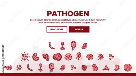 Image result for Shape of a Pathogen
