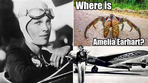 Coconut Crabs Ate Amelia Earhart at Madeleine Frayne blog