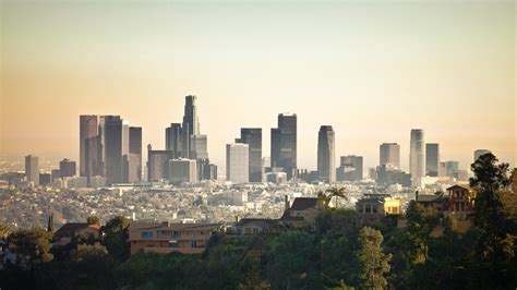 Live Stream.com 的图像结果