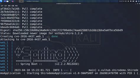 Java Exploit 的图像结果
