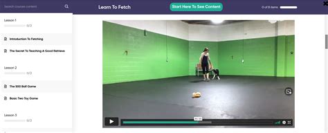 Image result for Fetch Training
