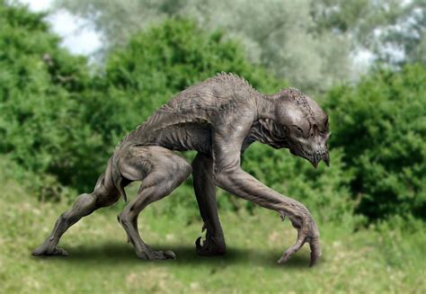 Future Predator 的图像结果