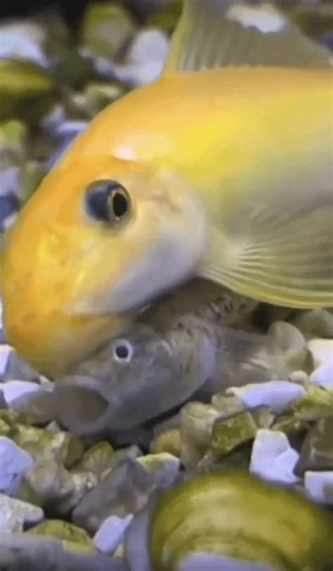 Well that sucks... Woke up this morning, wondered why my pool wasn't on ...