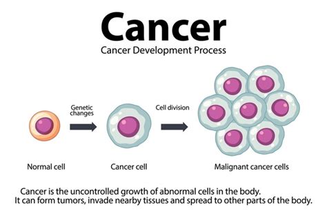Image result for Cancer Development Cartoon