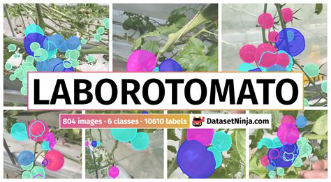 LaboroTomato - Dataset Ninja