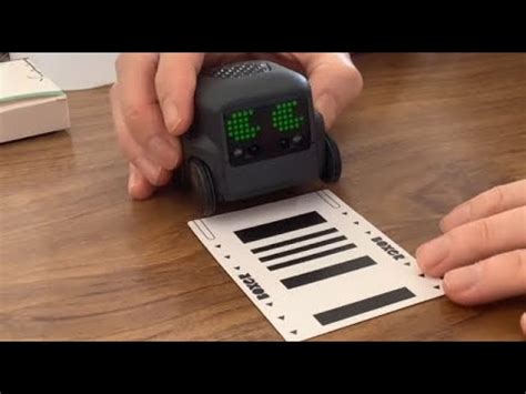 Boxer Bot Robot 的图像结果