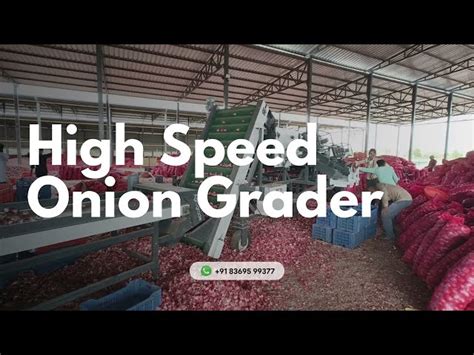 Potato Grading Machine - Movable grading machine for onion and potato ...