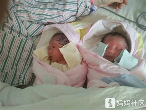 儿子车祸离世 山东59岁高龄产妇生下双胞胎：太想念孩子了 - 山东 - 关注 - 济宁新闻网