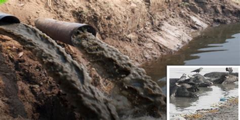 Point Source Pollution 的图像结果