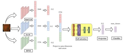 Image result for Supervised Classification High Resolution Imagery