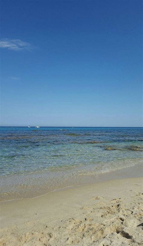 IL FENICOTTERO (Sardinia/Capoterra) - Lodge Reviews & Photos - Tripadvisor