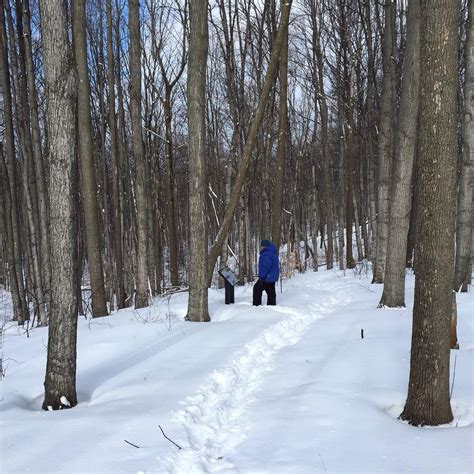 CHARLES RANSOM PRESERVE (2026) All You Need to Know BEFORE You Go (with ...