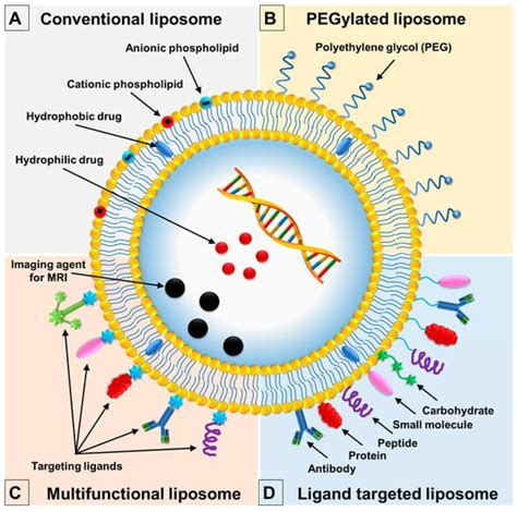 Soy Lecithin-Derived Liposomal Delivery Systems: Surface Modification ...