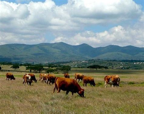 THE BEST Places to Visit in Kiserian (2026) - Must-See Attractions