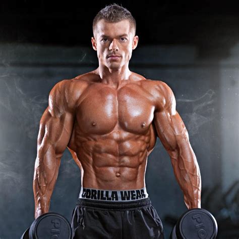 Image result for Dima Muscle Model