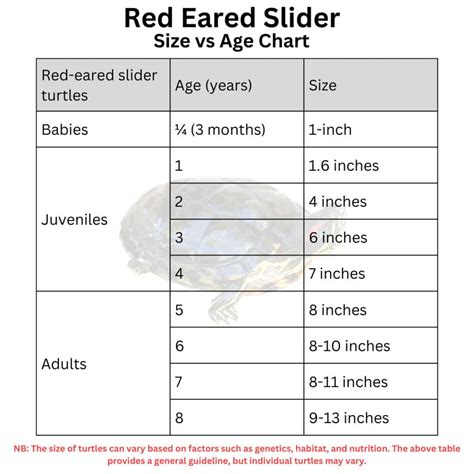 Snapping Turtle Age Chart 的图像结果