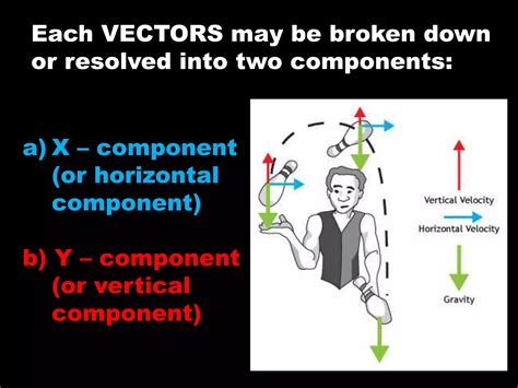 Image result for Vector Components Example