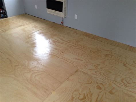 Best Color To Paint Plywood Floors at Travis Castro blog