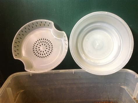 Indoor Salad Garden – Steamer Salad – Gardenhacker.com