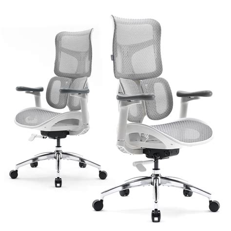 Sihoodoro S100 Ergonomic Office Chair With Dual Dynamic Lumbar Support ...