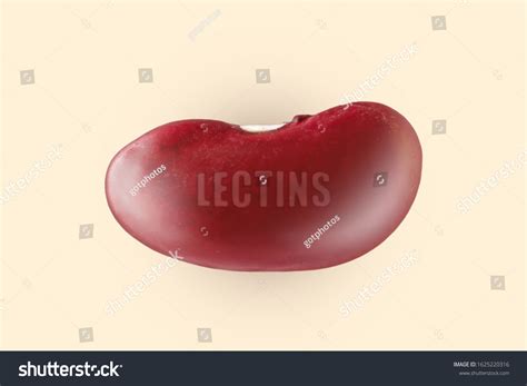 327 Protein Absorption Images, Stock Photos & Vectors | Shutterstock